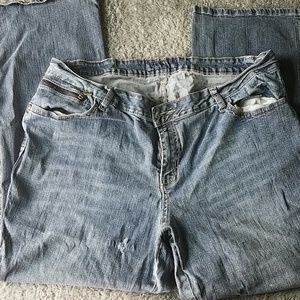 Zana Di jeans size 24 TALL